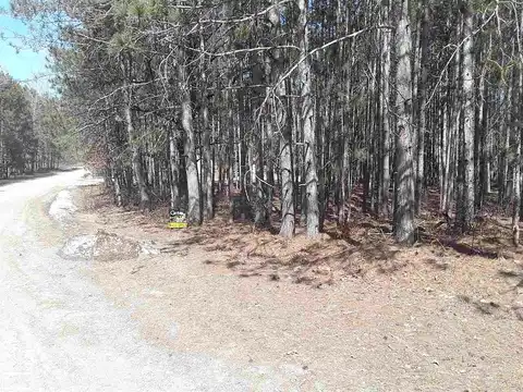 Pine Mesa, STANWOOD, MI 49346