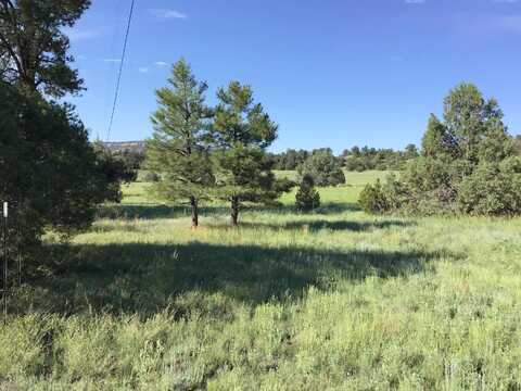 Lot 44 Sunflower Dr, Ramah, NM 87321