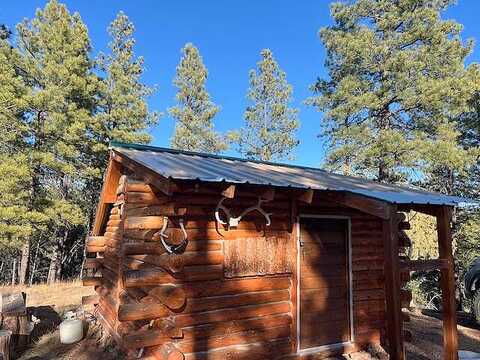 Forest Rd #157, Ramah, NM 87321