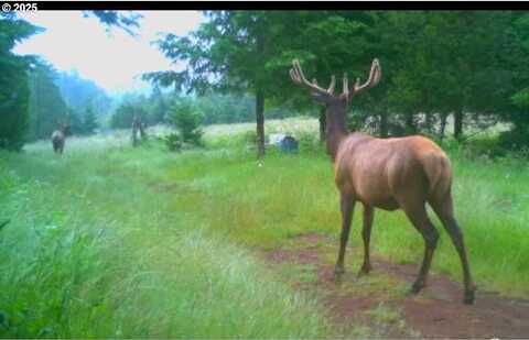 Kenady Ln Lot 401, CottageGrove, OR 97424