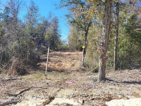 Lot 8 Nw Womble Road, Altha, FL 32421