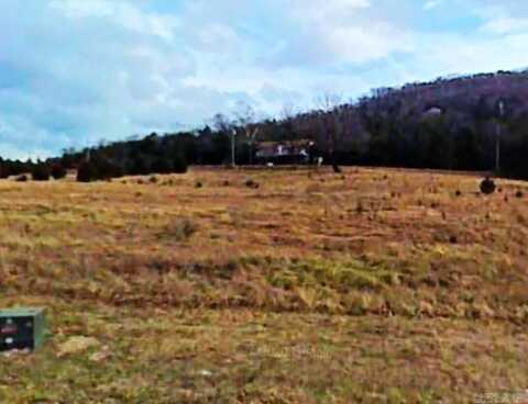 Lot 28 Woodsdale Drive, Holiday Island, AR 72631