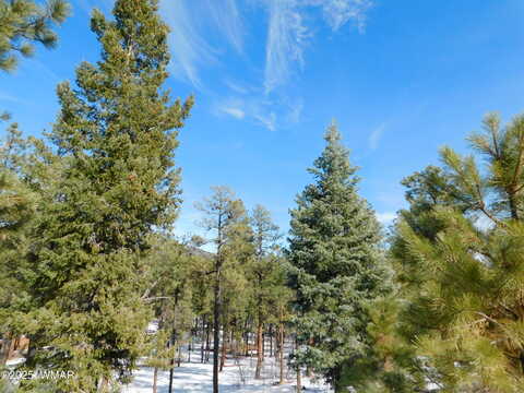 Lot 29 Eric Lane, Alpine, AZ 85920