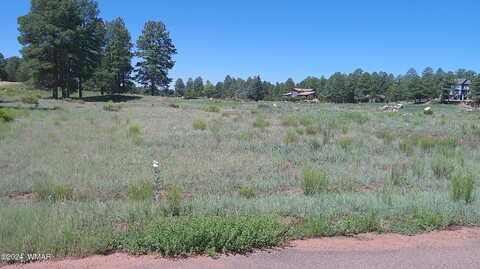 Green Cove Drive, Overgaard, AZ 85928