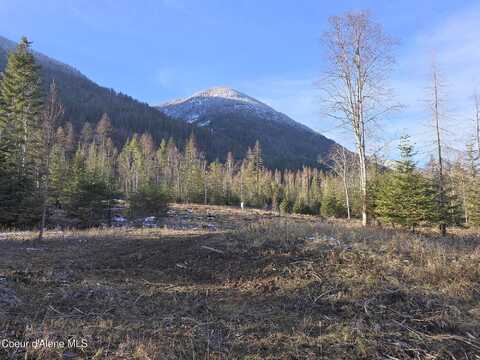 Nna West Side Rd Parcel 2, Bonners Ferry, ID 83805