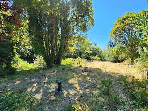 Washington St, PortOrford, OR 97465