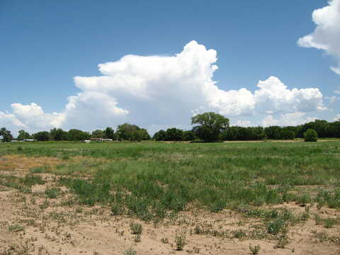 Tract 77A & 77B1, Bosque, NM 87006