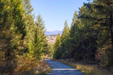 Nhn Gut Creek Road, Eureka, MT 59917