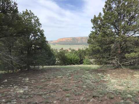 Lot 6 Sunflower Drive, Ramah, NM 87321