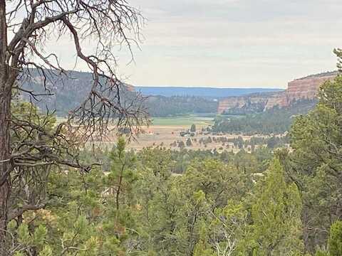 Lot 23 Sunflower Drive, Ramah, NM 87321