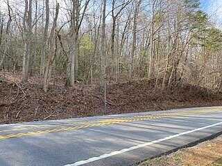 Lot 2 S Hwy 129/19 S, Blairsville, GA 30512