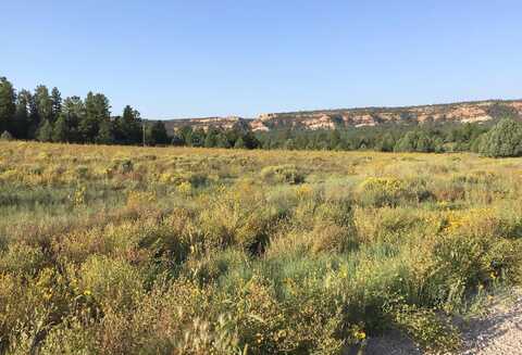Lot 14 E Elk Drive, Ramah, NM 87321