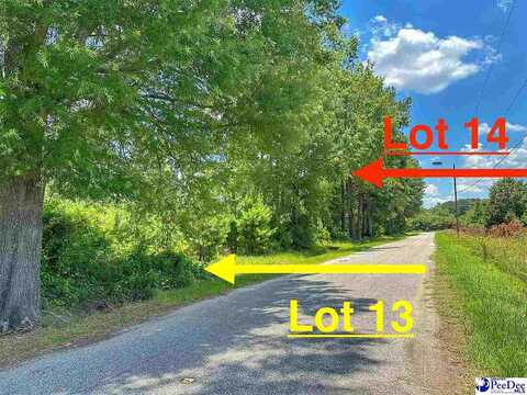 Lot 13 Gasque Drive, Latta, SC 29565