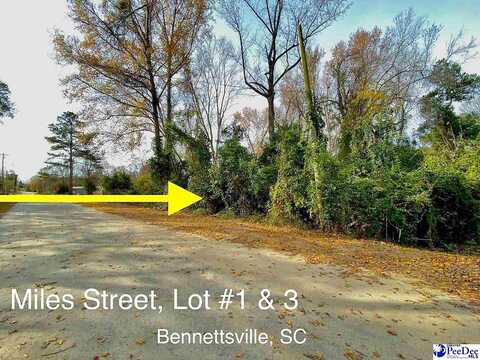 Lot 1 & 3 Miles Street, Bennettsville, SC 29512