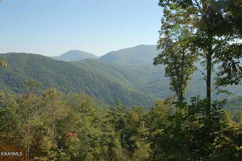 Gulf Rd, Hartford, TN 37753