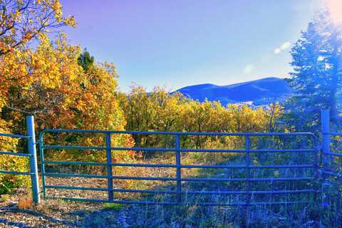 Chacon; Creek B008, Mora, NM 87732