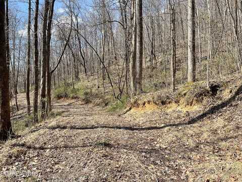 Bibee Lane, Caryville, TN 37714
