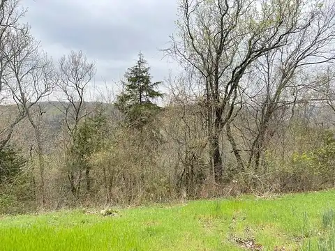 Cypress Point Ln, Eureka Springs, AR 72631