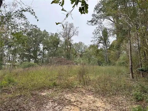 Clay Street, Albany, LA 70711