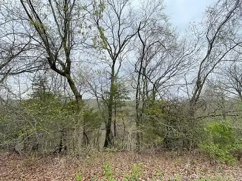 Cypress Point Ln, Eureka Springs, AR 72631