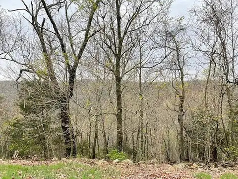 Cypress Point Ln, Eureka Springs, AR 72631