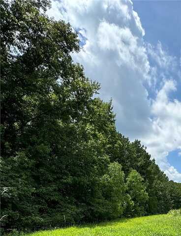 Hill Branch Road, Ridgeville, SC 29472
