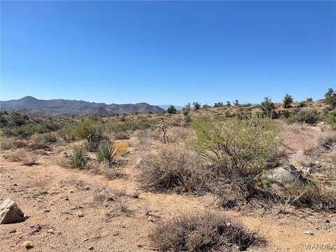 E Acres I 40 Silver Springs, Kingman, AZ 86409