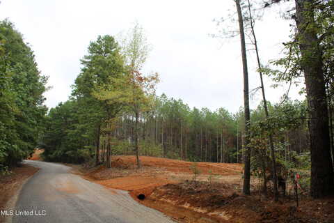 Cr 442, Oxford, MS 38655