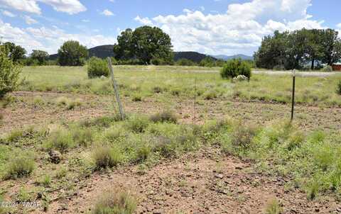 Hwy 61, Vernon, AZ 85940