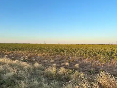 E County Road 5400, Lubbock, TX 79403