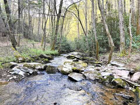 Acres Ivy Trail, Tellico Plains, TN 37385