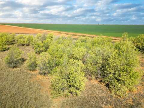 Hawk, Ropesville, TX 79358