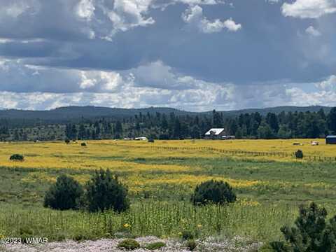 Az-260, Pinedale, AZ 85934