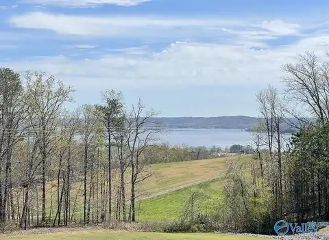Legendary Drive, Guntersville, AL 35976