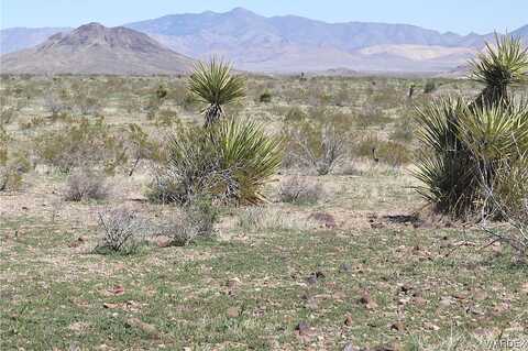 Dewey, Golden Valley, AZ 86413