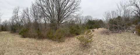 Spout Springs Road, Fordland, MO 65652