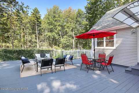 Fern, POCONO SUMMIT, PA 18346