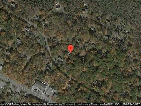 Fern, POCONO SUMMIT, PA 18346