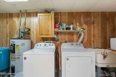 Sycamore, ALBRIGHTSVILLE, PA 18210