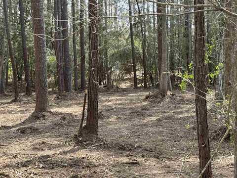 Pinehurst, Brookeland, TX 75931