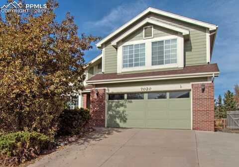 Cotton, COLORADO SPRINGS, CO 80923