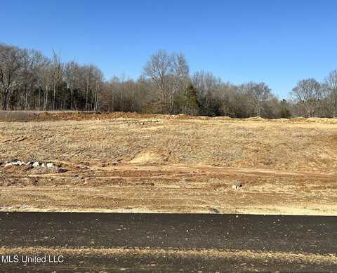 Pebble View Drive, Byhalia, MS 38611