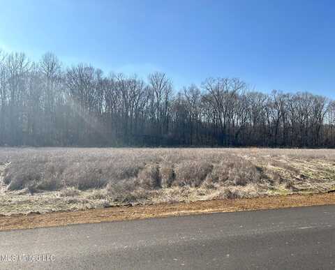 Pebble View Drive, Byhalia, MS 38611