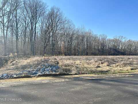 Pebble View Drive, Byhalia, MS 38611