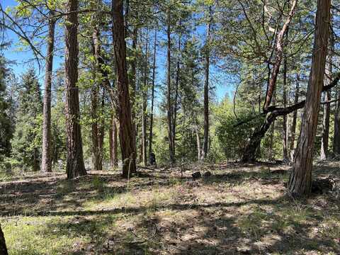 Tl348 Flounce Rock Rd, Prospect, OR 97536