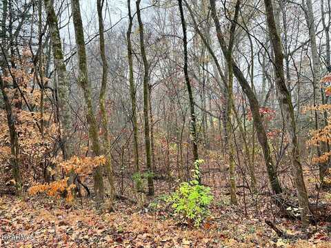 Lot 8 Butler Rd, Decatur, TN 37322
