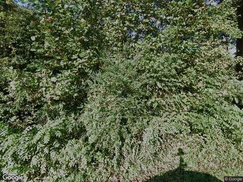Lot 57 Crestview Rd, Wirtz, VA 24184