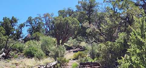 Lot 363 N Big View Trl, Ash Fork, AZ 86320