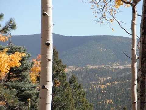 Lot 208 Re Amen Taos Dr, Angel Fire, NM 87710