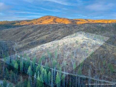 Lot 11 Rail Canyon Rd, Springdale, WA 99173